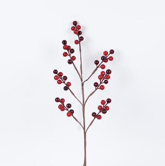 Декоративно гранче